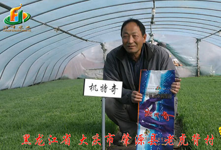 大慶-肇源縣(xian)-用戶迴訪視頻