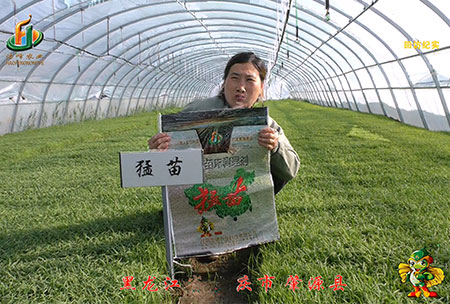 大慶(qing) 肇源縣(xian)-迴訪視(shi)頻