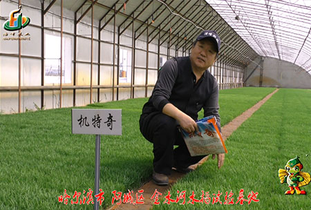 哈爾濱金水河基地-用戶迴訪(fang)視頻