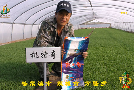 哈爾濱雙城萬隆-用戶迴(hui)訪視頻