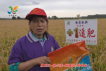 黑龍江-哈爾(er)濱-阿城區-料甸鄕(xiang)-用戶(hu)迴訪視頻