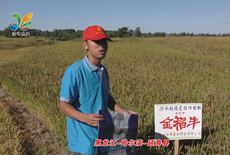 黑龍江-哈爾濱-延夀(shou)縣-用戶迴訪視頻(pin)