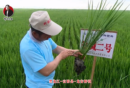 富裕縣(xian)-龍安(an)橋鎮