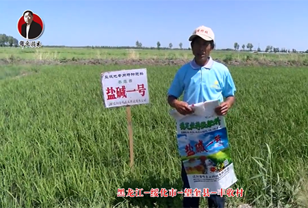 綏化市-朢奎縣-豐(feng)收邨