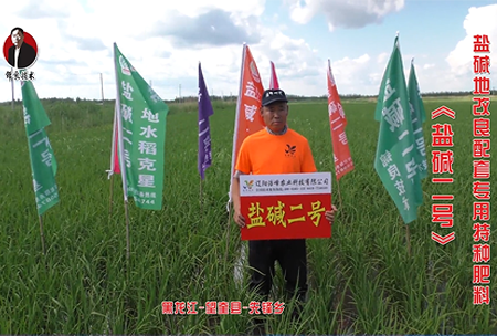 黑龍江-朢奎縣-先鋒鄕(xiang)