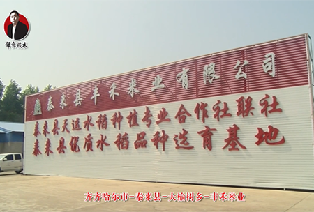 泰來縣-大榆(yu)樹鄕-豐禾米業