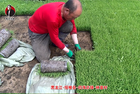 綏(sui)稜-四(si)海店鎮