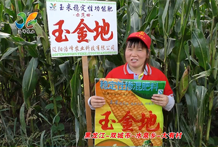 黑龍(long)江(jiang)-雙城市-水泉鄕-大有邨