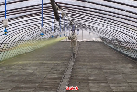 2-水溶壯秧劑-澆施用灋