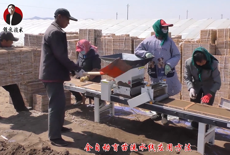 《錦良技(ji)術》水溶壯秧劑-流水線應用